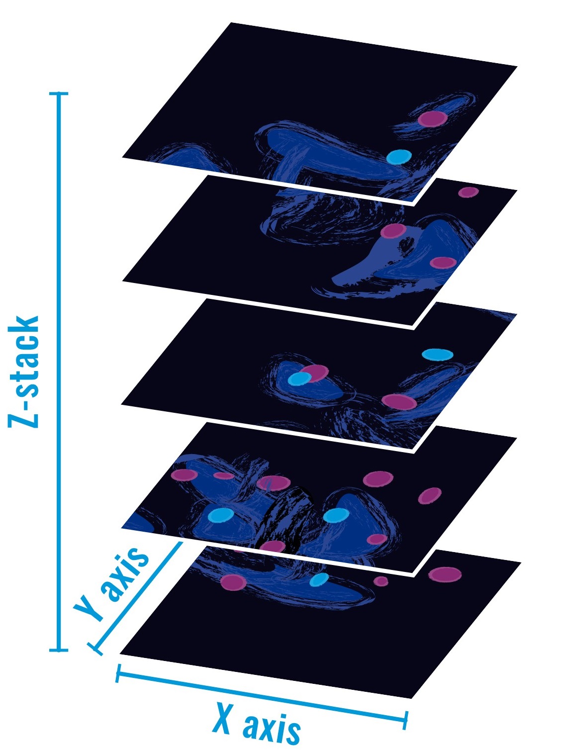 Sapphire_Z-Stacking_Cartoon_3.0